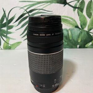 Canon EF 75-300mm Lens - Black and Gray